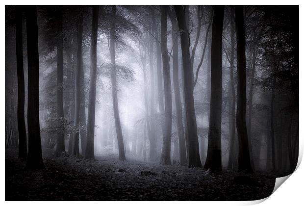 Misty Woodland Print by Ian Hufton