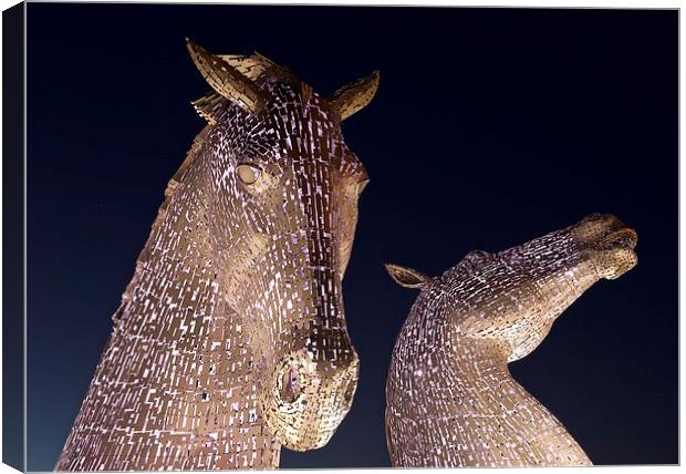  The Kelpies at night Canvas Print by Stephen Taylor