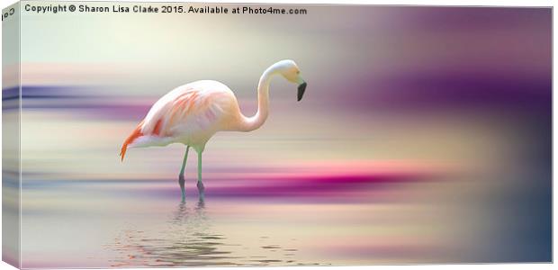  Flamingo Skies Canvas Print by Sharon Lisa Clarke