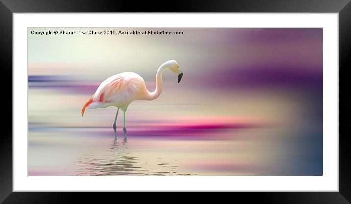  Flamingo Skies Framed Mounted Print by Sharon Lisa Clarke