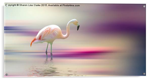  Flamingo Skies Acrylic by Sharon Lisa Clarke