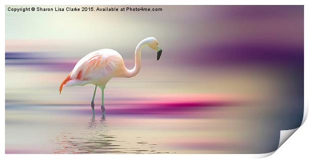  Flamingo Skies Print by Sharon Lisa Clarke