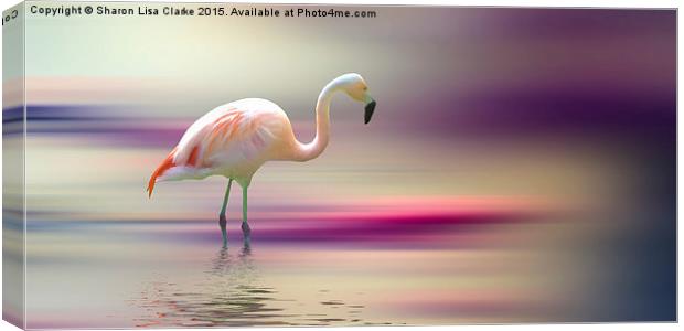  Flamingo Skies 2 Canvas Print by Sharon Lisa Clarke