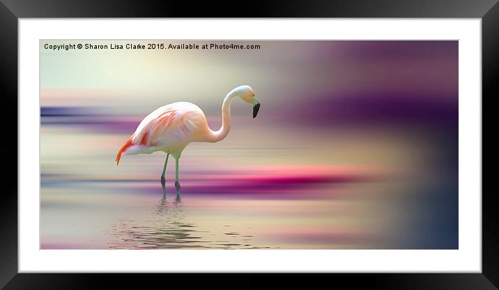  Flamingo Skies 2 Framed Mounted Print by Sharon Lisa Clarke