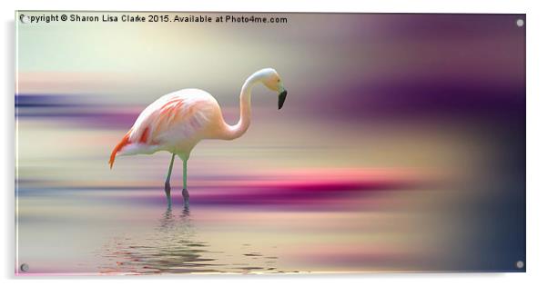  Flamingo Skies 2 Acrylic by Sharon Lisa Clarke
