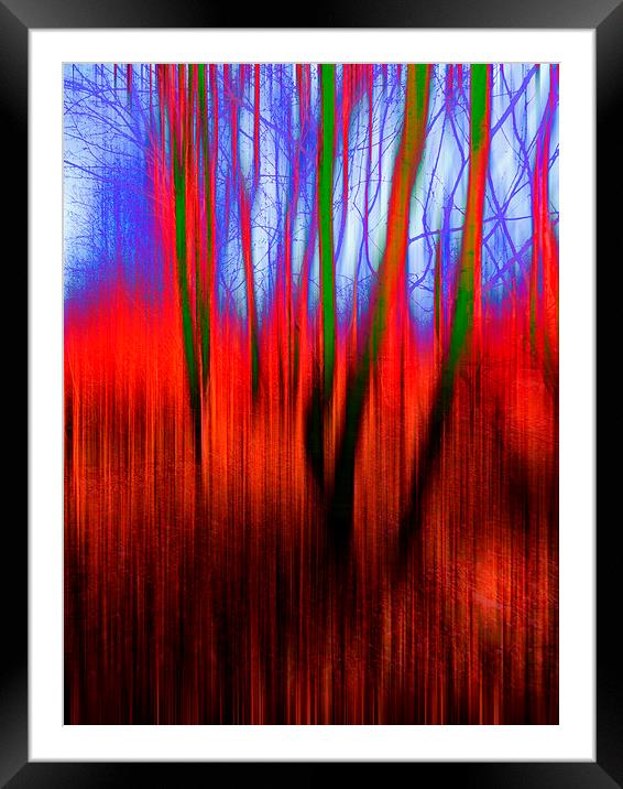  Tinted Woods Framed Mounted Print by Florin Birjoveanu