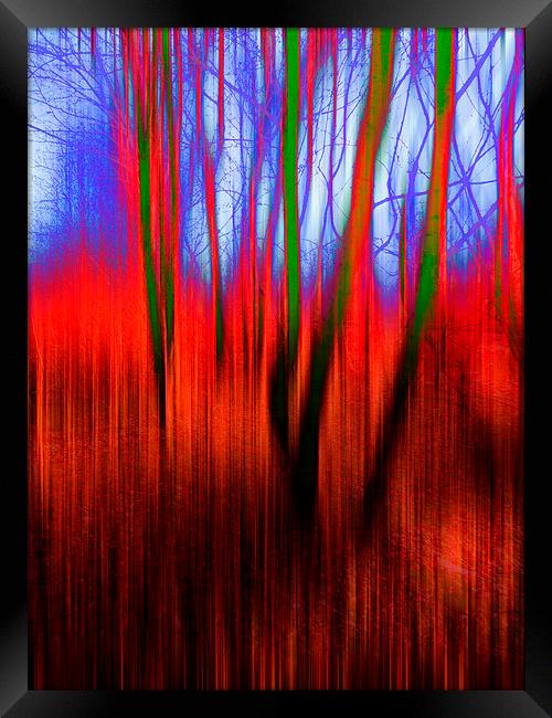  Tinted Woods Framed Print by Florin Birjoveanu