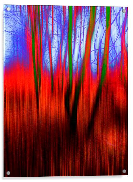  Tinted Woods Acrylic by Florin Birjoveanu