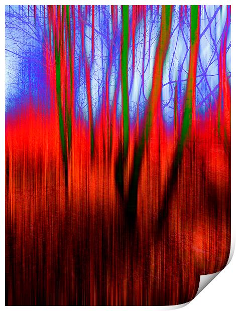  Tinted Woods Print by Florin Birjoveanu