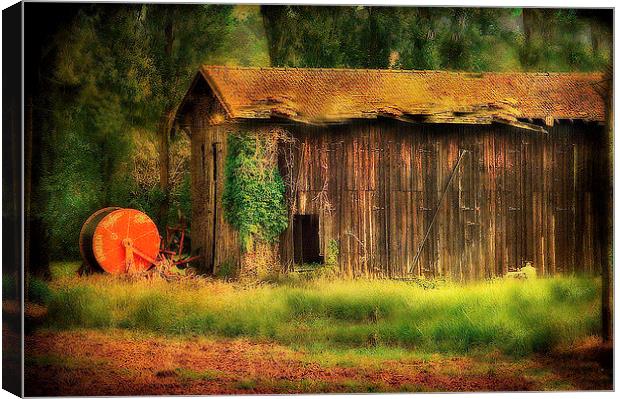 The Old Barn Canvas Print by Irene Burdell