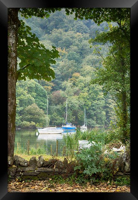  Through the trees Framed Print by richard downes