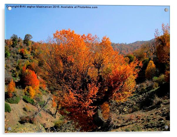   Beautiful autumn of OLANG Jungle 2, Acrylic by Ali asghar Mazinanian