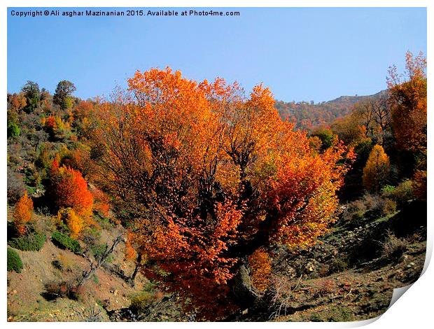   Beautiful autumn of OLANG Jungle 2, Print by Ali asghar Mazinanian