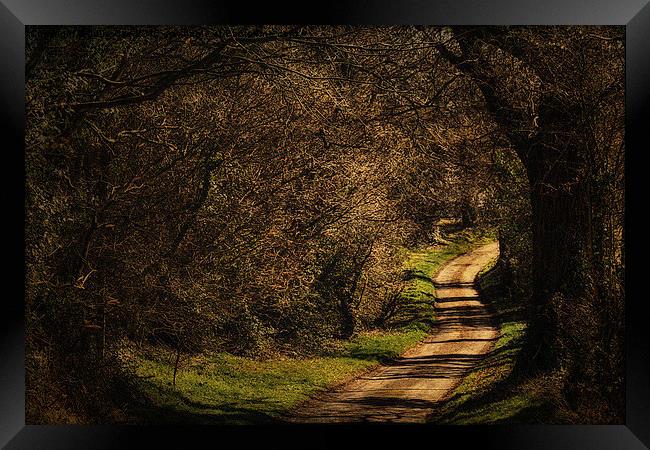 Springtime Walks 4 Framed Print by Julie Coe