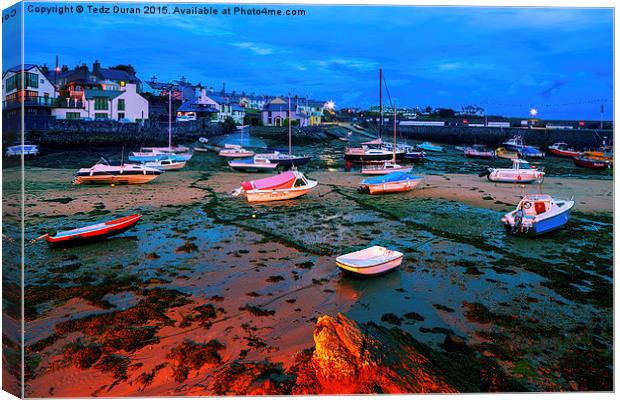  Cemaes Bay Anglesey Canvas Print by Tedz Duran