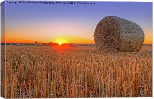  Bales at Sunset 1 Canvas Print by Colin Williams Photography