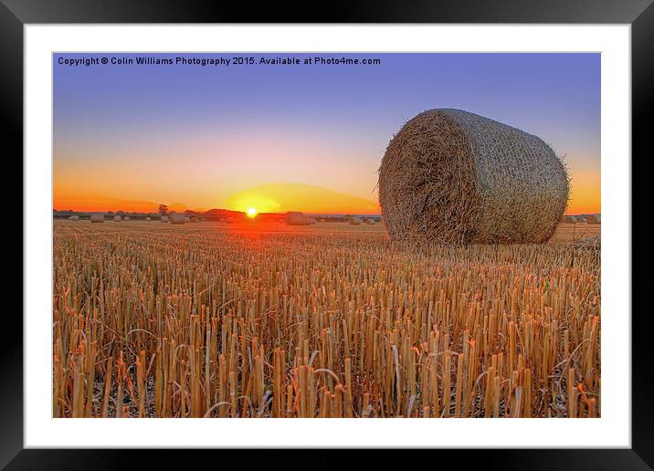  Bales at Sunset 1 Framed Mounted Print by Colin Williams Photography