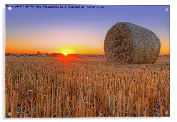  Bales at Sunset 1 Acrylic by Colin Williams Photography
