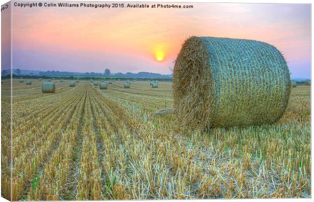  Bales at Sunset 2 Canvas Print by Colin Williams Photography