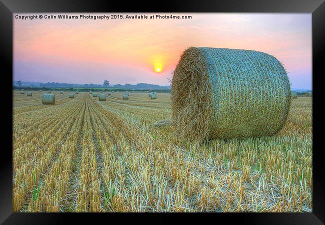   Bales at Sunset 2 Framed Print by Colin Williams Photography