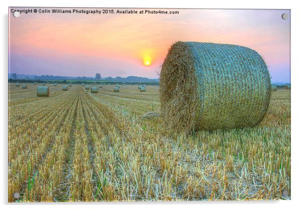   Bales at Sunset 2 Acrylic by Colin Williams Photography