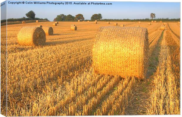    Bales at Sunset 3 Canvas Print by Colin Williams Photography