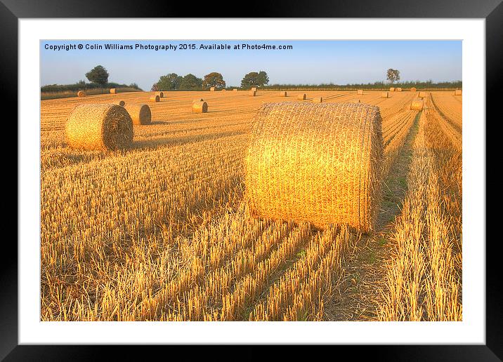    Bales at Sunset 3 Framed Mounted Print by Colin Williams Photography