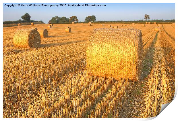    Bales at Sunset 3 Print by Colin Williams Photography