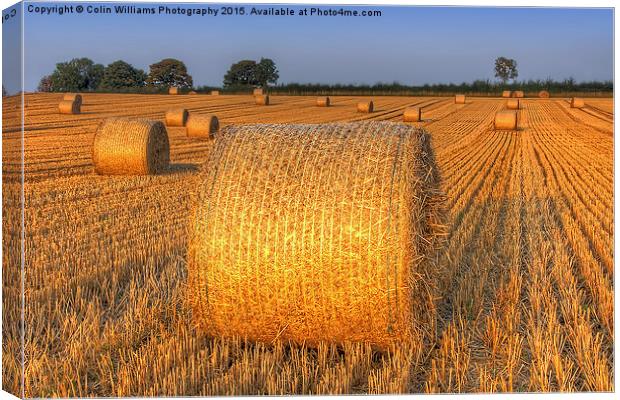  Bales at Sunset 4 Canvas Print by Colin Williams Photography
