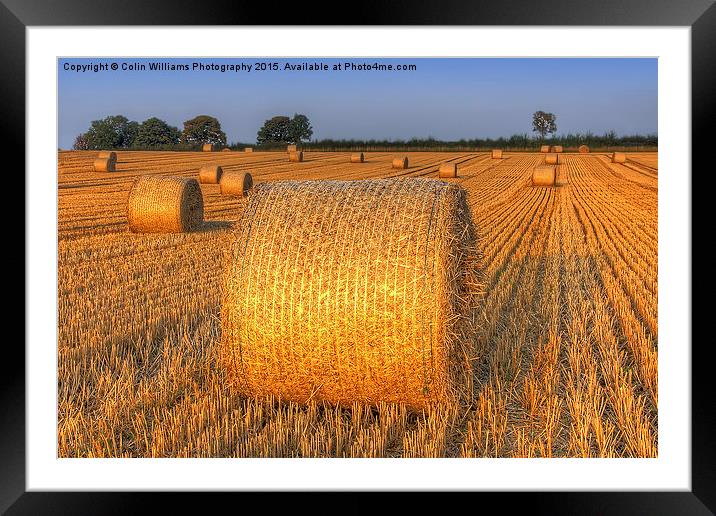  Bales at Sunset 4 Framed Mounted Print by Colin Williams Photography