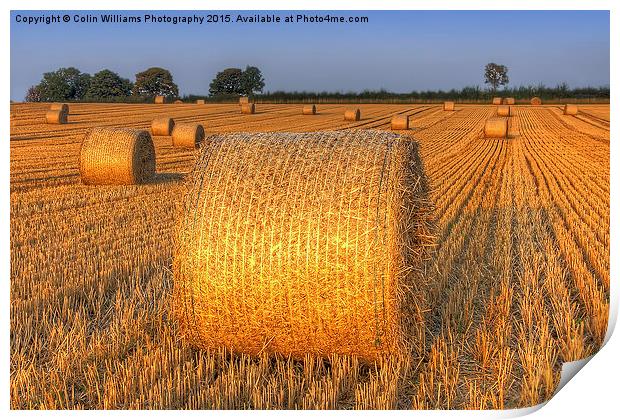  Bales at Sunset 4 Print by Colin Williams Photography