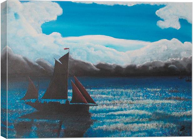  The Coming Storm Canvas Print by Ann Biddlecombe