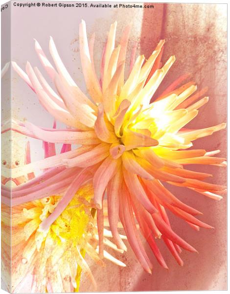    A summer Dahlia flower with added  texture Canvas Print by Robert Gipson