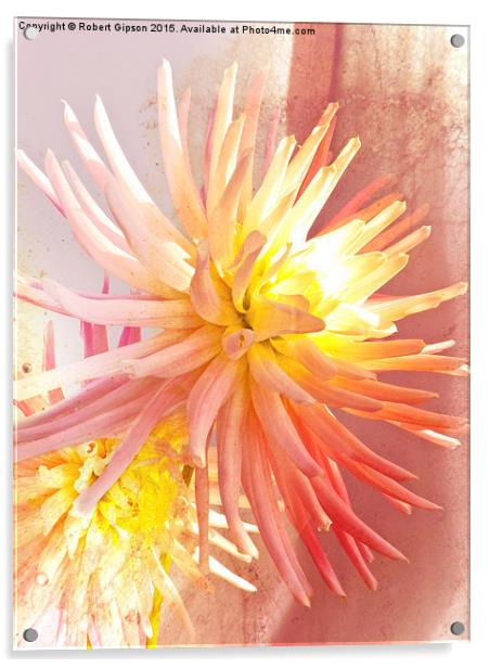    A summer Dahlia flower with added  texture Acrylic by Robert Gipson