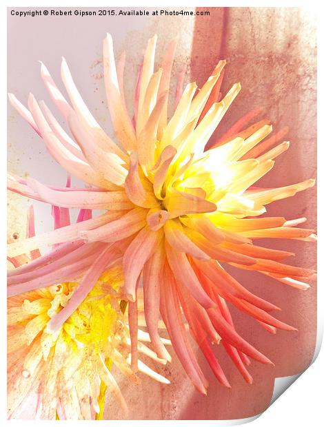    A summer Dahlia flower with added  texture Print by Robert Gipson