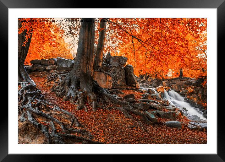  Autumn Cascade Framed Mounted Print by Tedz Duran