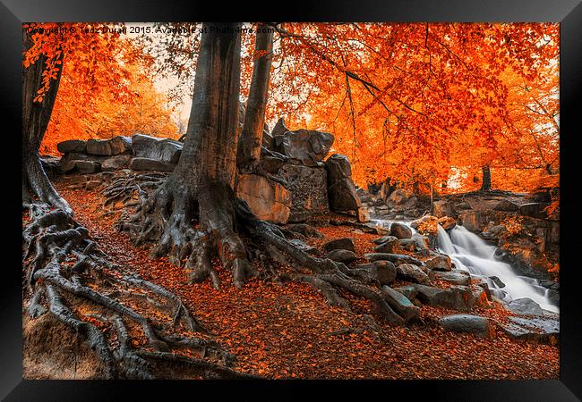  Autumn Cascade Framed Print by Tedz Duran