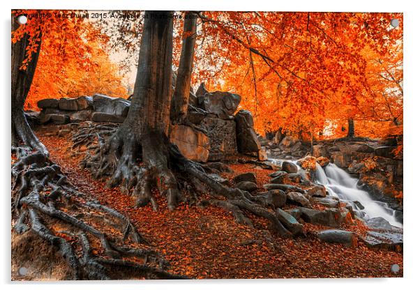  Autumn Cascade Acrylic by Tedz Duran