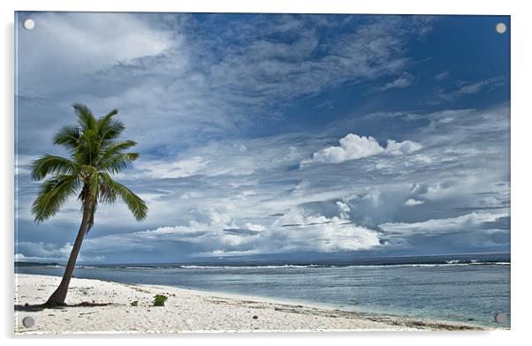 Tongan Paradise Acrylic by Alexander Mieszkowski