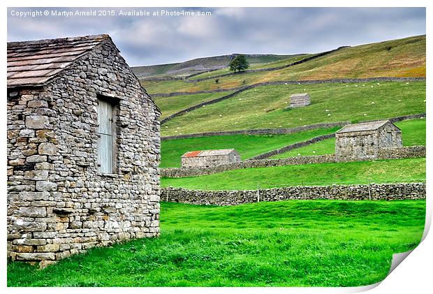 Yorkshire Dales Stone Barns at Muker Print by Martyn Arnold