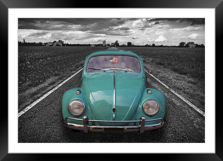 Beetle Framed Mounted Print by Guido Parmiggiani