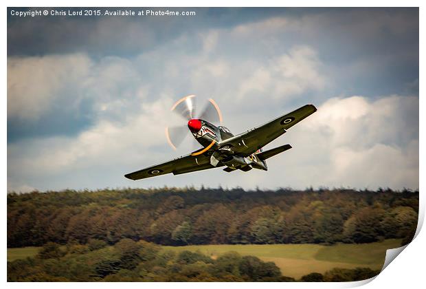 Shark Nosed P-51 Mustang at Goodwood Print by Chris Lord