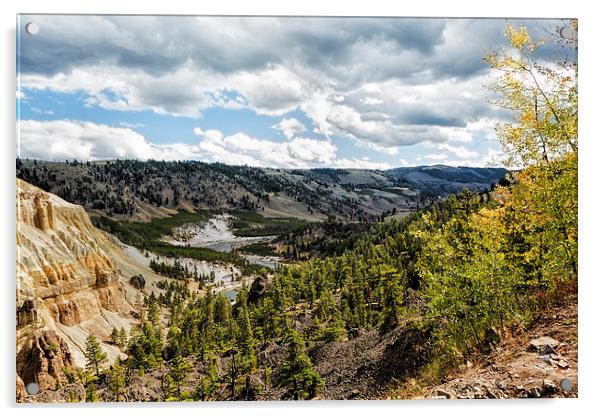  Overlooking Yellowstone River Acrylic by Belinda Greb