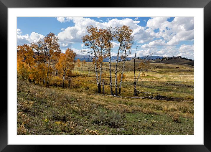  Lamar Valley in the Fall Framed Mounted Print by Belinda Greb