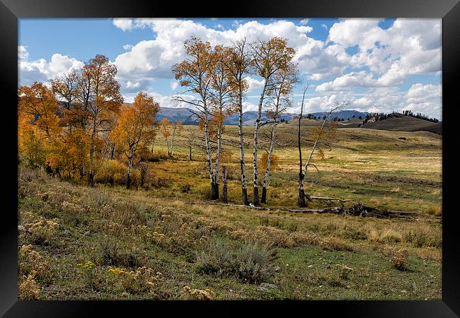  Lamar Valley in the Fall Framed Print by Belinda Greb