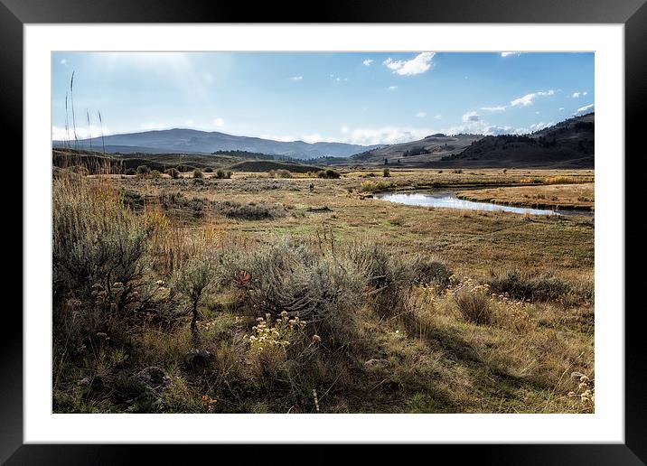  Waiting For Wolves In Lamar Valley - Yellowstone Framed Mounted Print by Belinda Greb