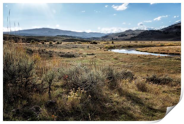  Waiting For Wolves In Lamar Valley - Yellowstone Print by Belinda Greb