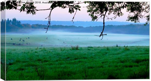 More Cows in the Mist  Canvas Print by Jon Gopsill