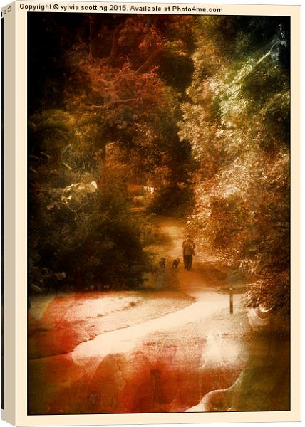  Just walking the dogs Canvas Print by sylvia scotting