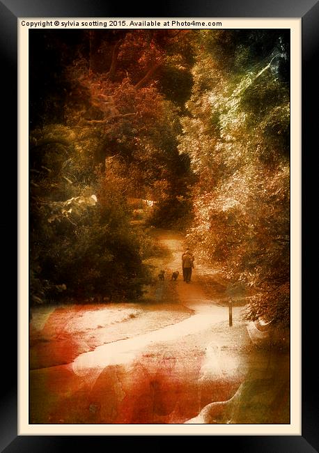  Just walking the dogs Framed Print by sylvia scotting